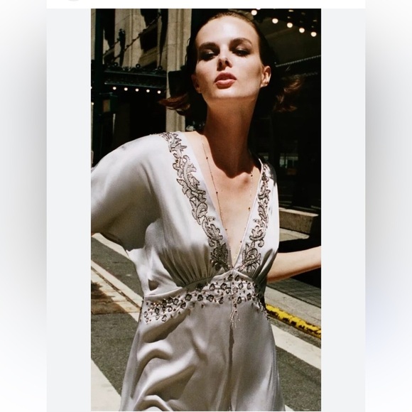 Zara Elegant Silver Embellished Dress | L - Picture 1 of 6